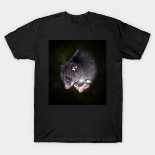 Ground cuscus T-Shirt